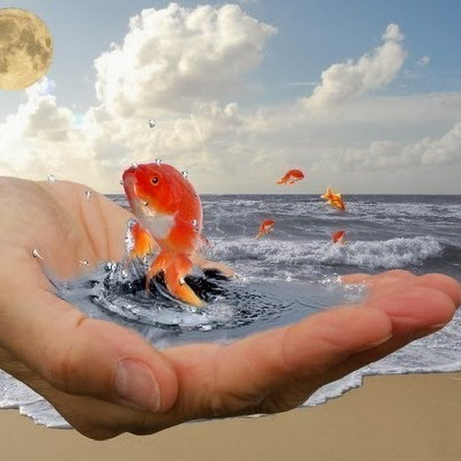 День загадывания желаний