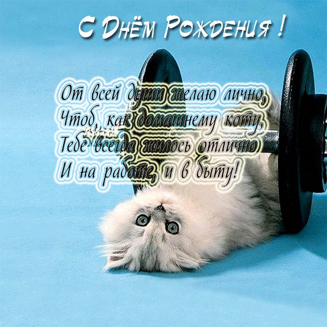 Прикольные поздравления с днем рождения