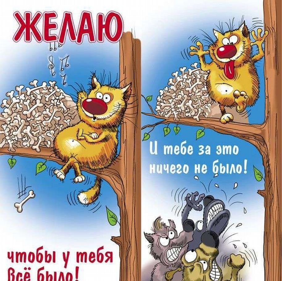 Прикольные поздравления с днемирождения мужчине