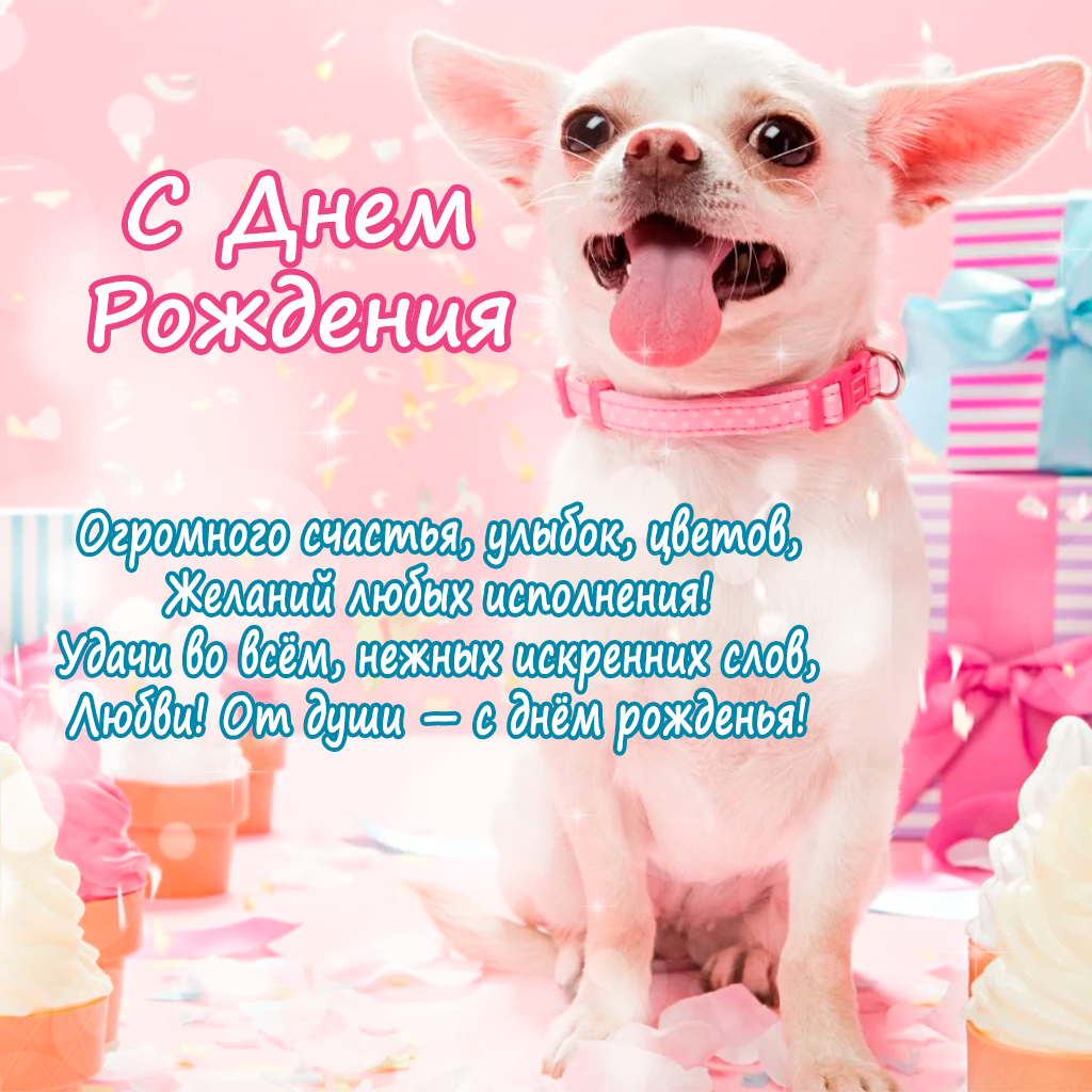 Прикольные поздравления с днем рождения