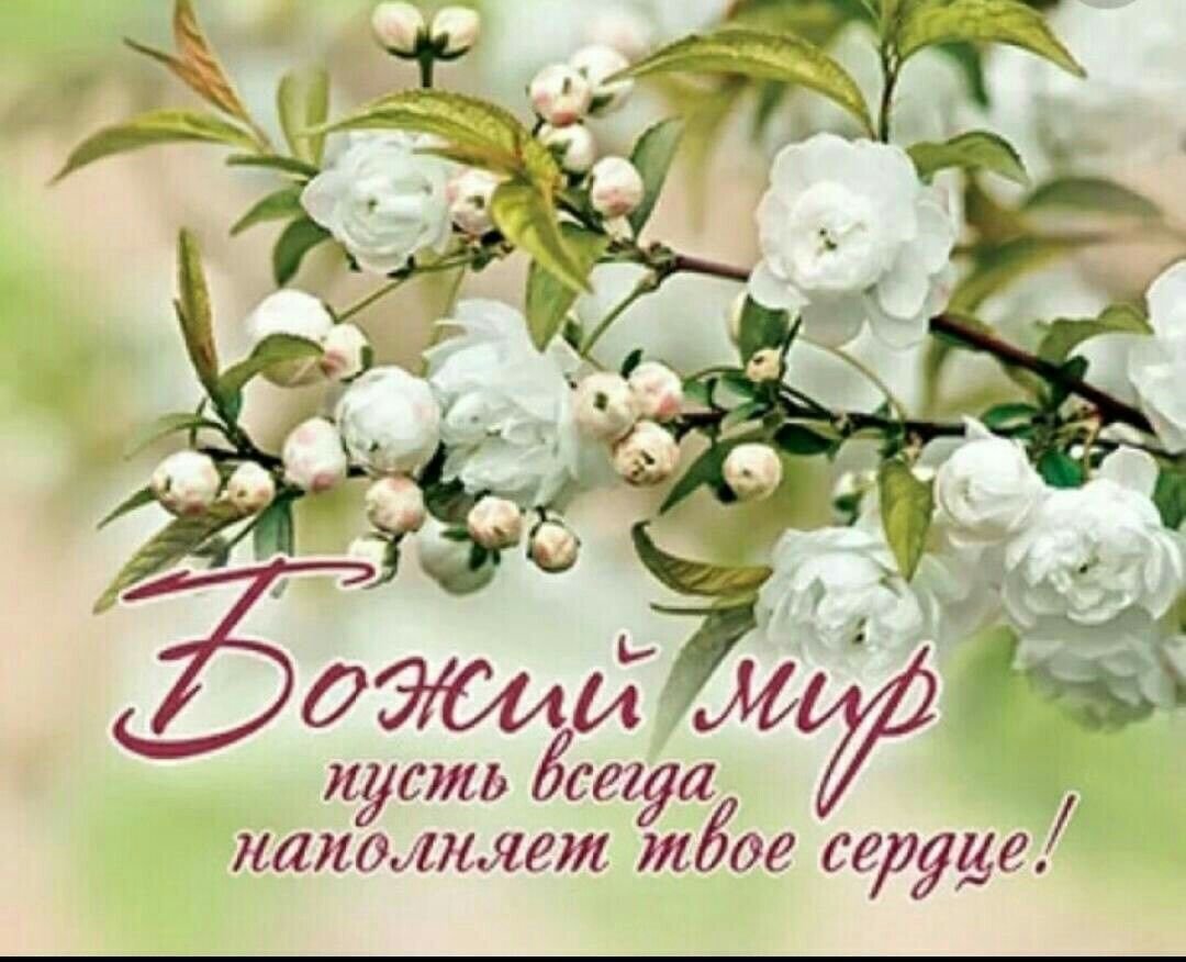 Благословенного дня и доброго здоровья