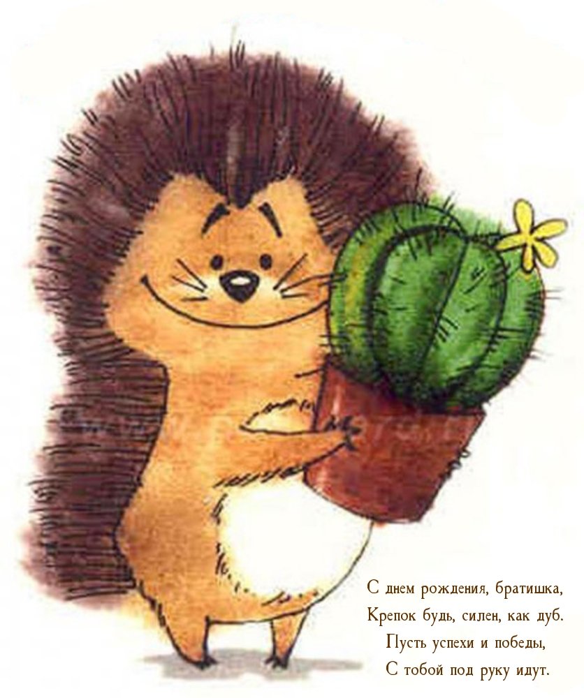 Ежики пенни Блэк