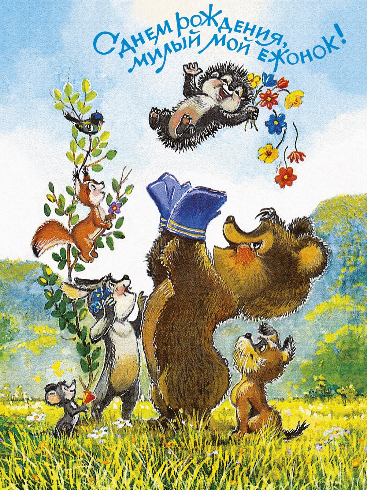 Смешные открытки с ежом