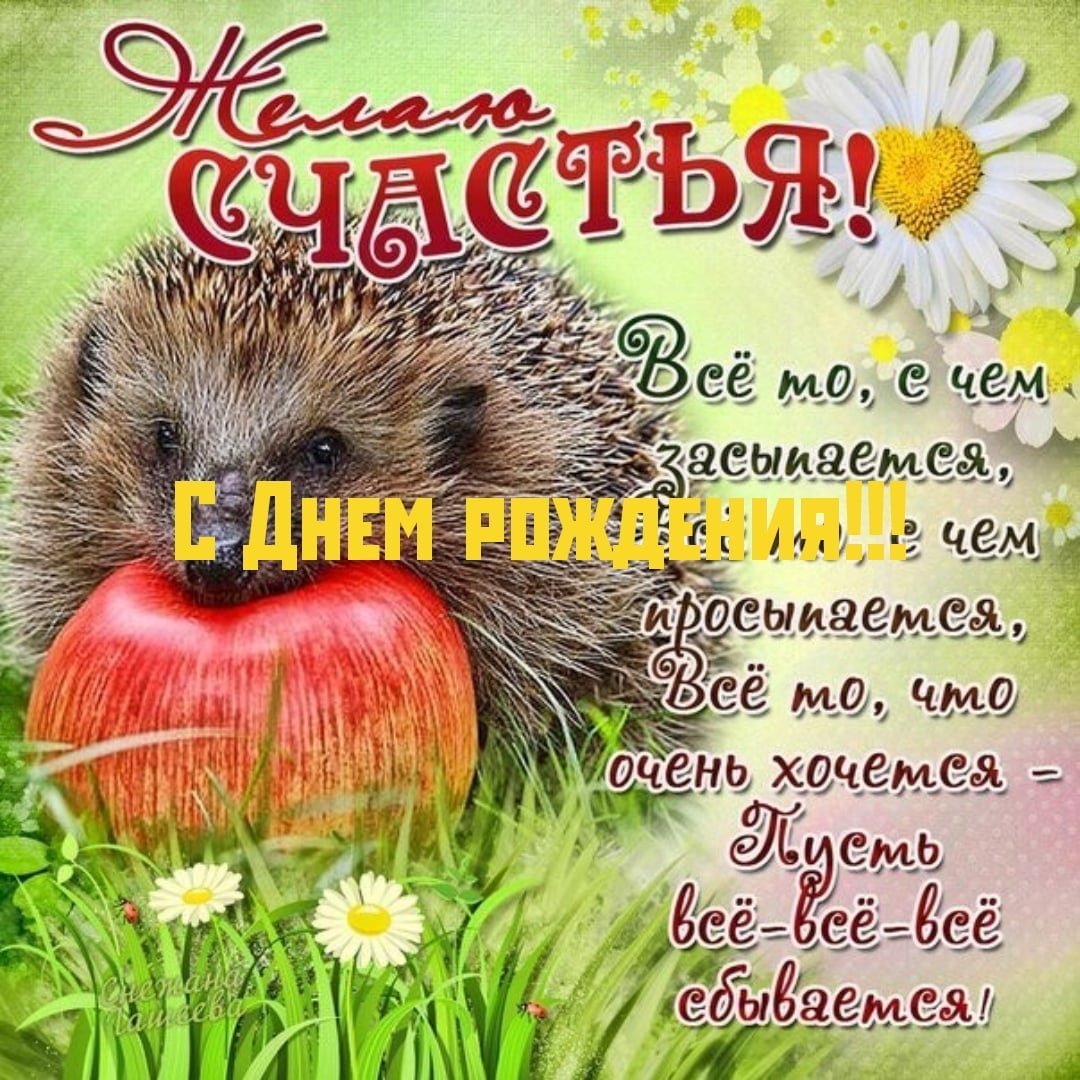 Ежик в колпачке