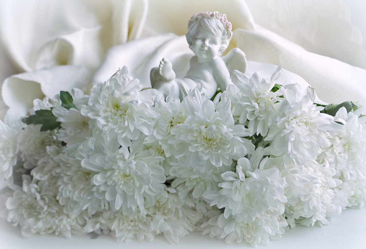 Светлые добрые песни. Белые нежнейшие цветы. С днём рождения хризантемы. Открытки с днём рождения с белыми цветами. Открытки с днем рождения хризантемы.