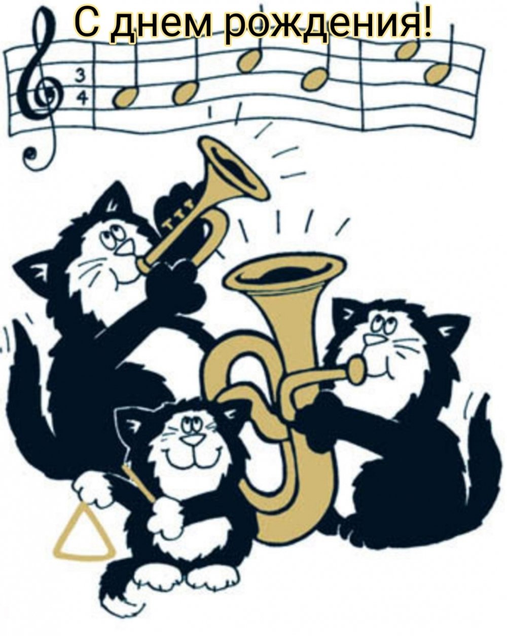 Цветы для музыканта