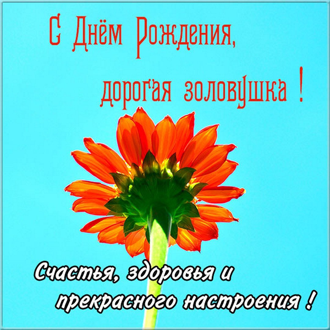 С днём рождения золовка картинки