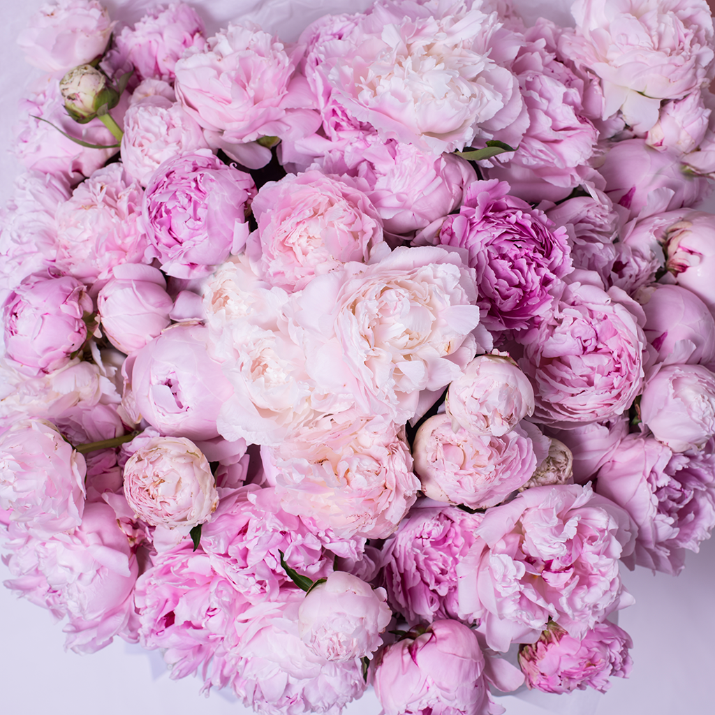 Букетище пионов