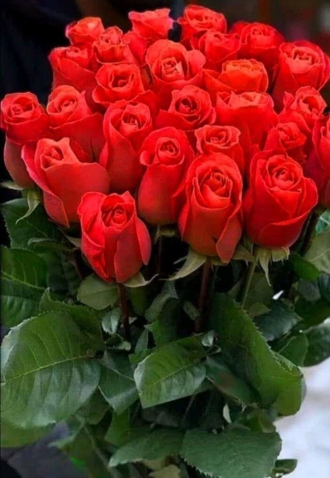 Поздравительные открытки с цветами с днем рождения