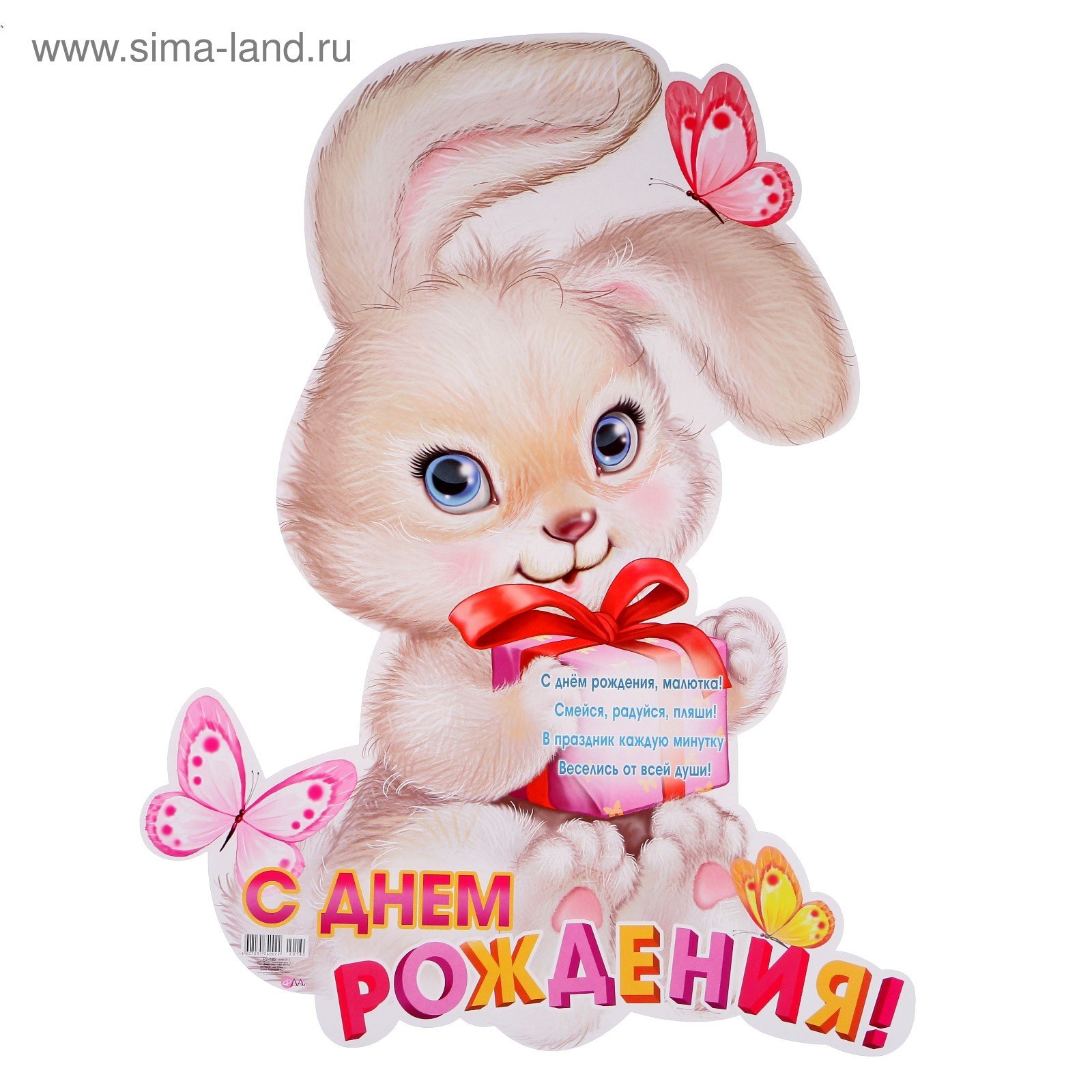 Hare, rabbit и bunny — это разные животные? Разбираемся в пушистых зверьках