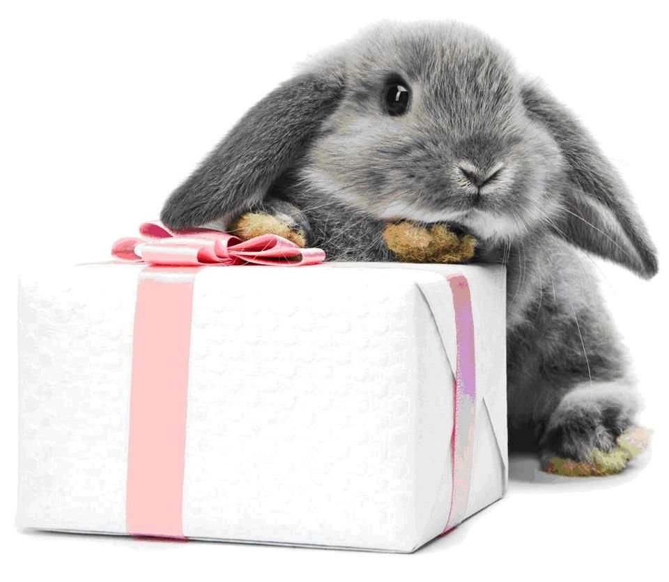 Зайчик Шнуфель Вики