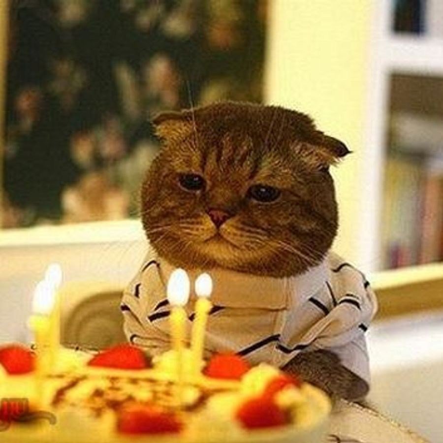 Прикольные поздравления с днем рождения