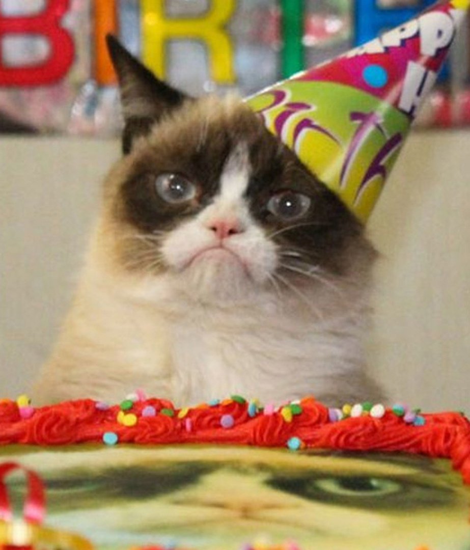 С днём рождения смешные