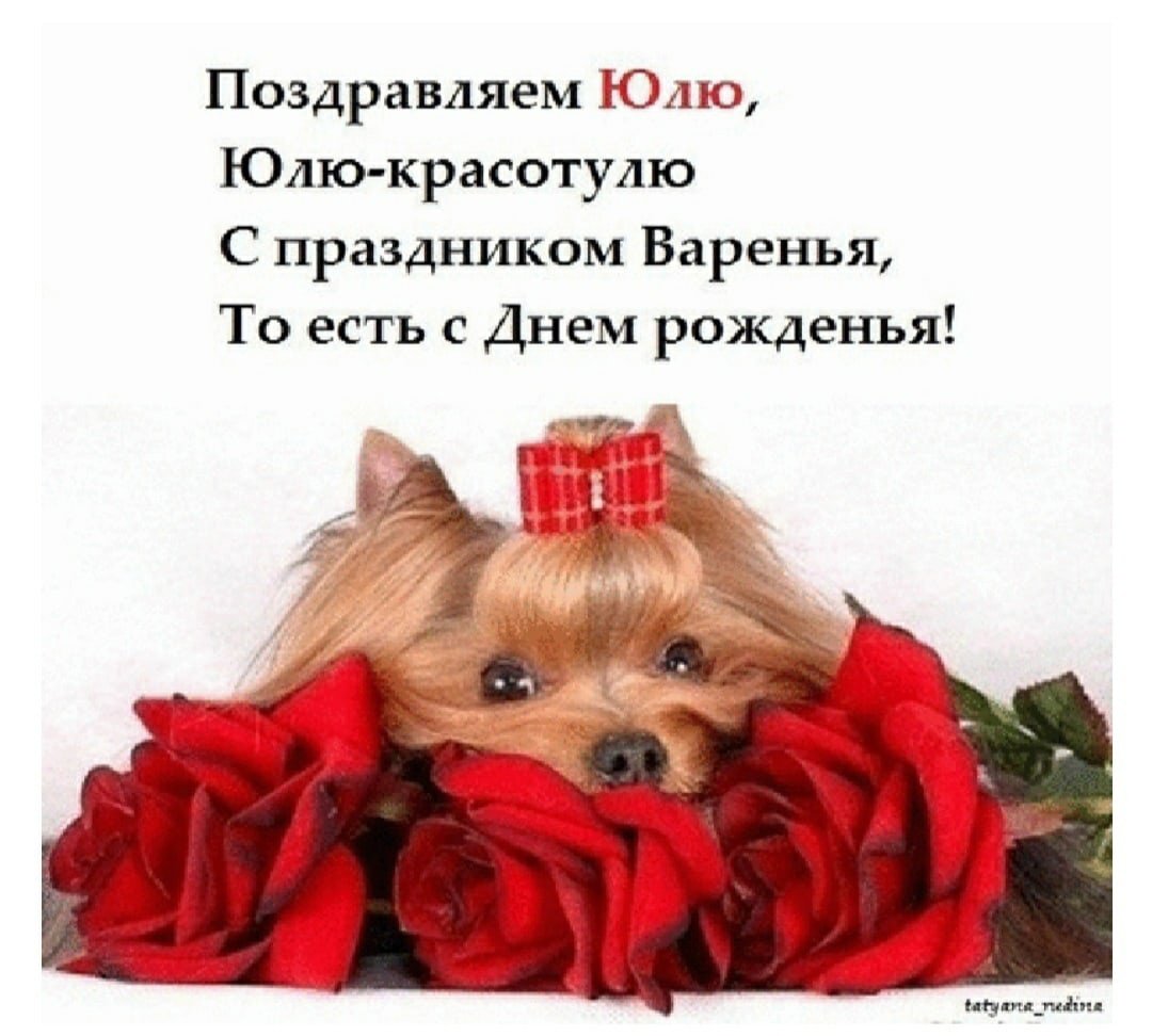 С днем плиты