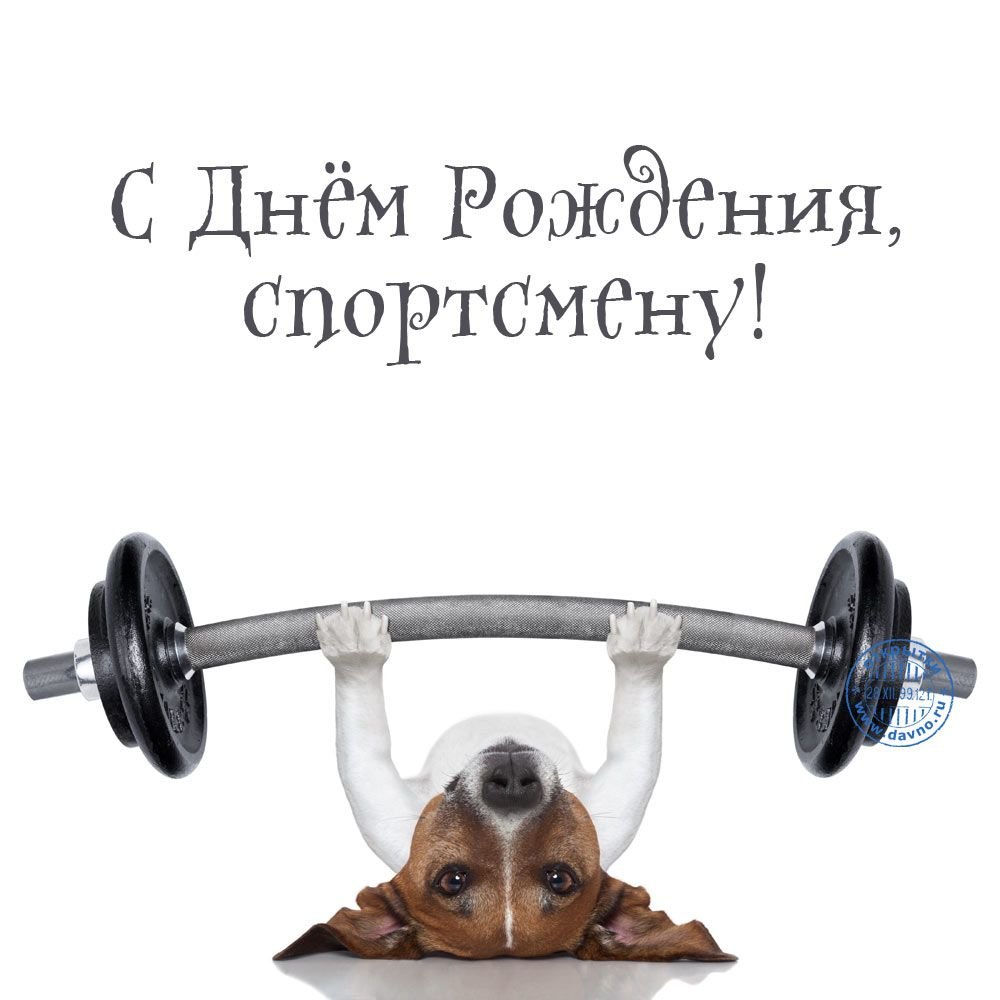 С днемифизкультурника