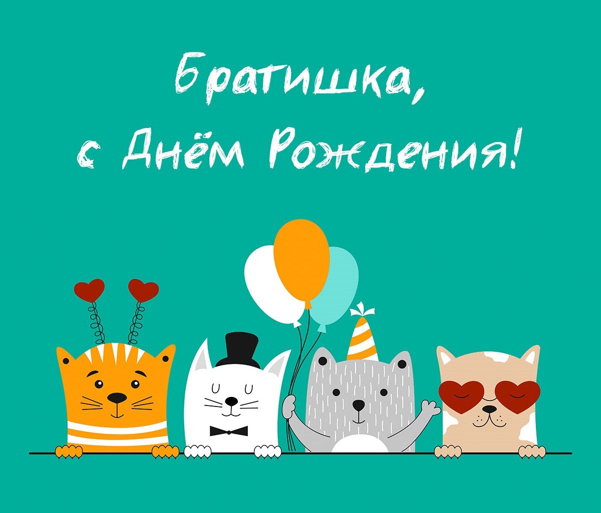 С днем рождения брат кот