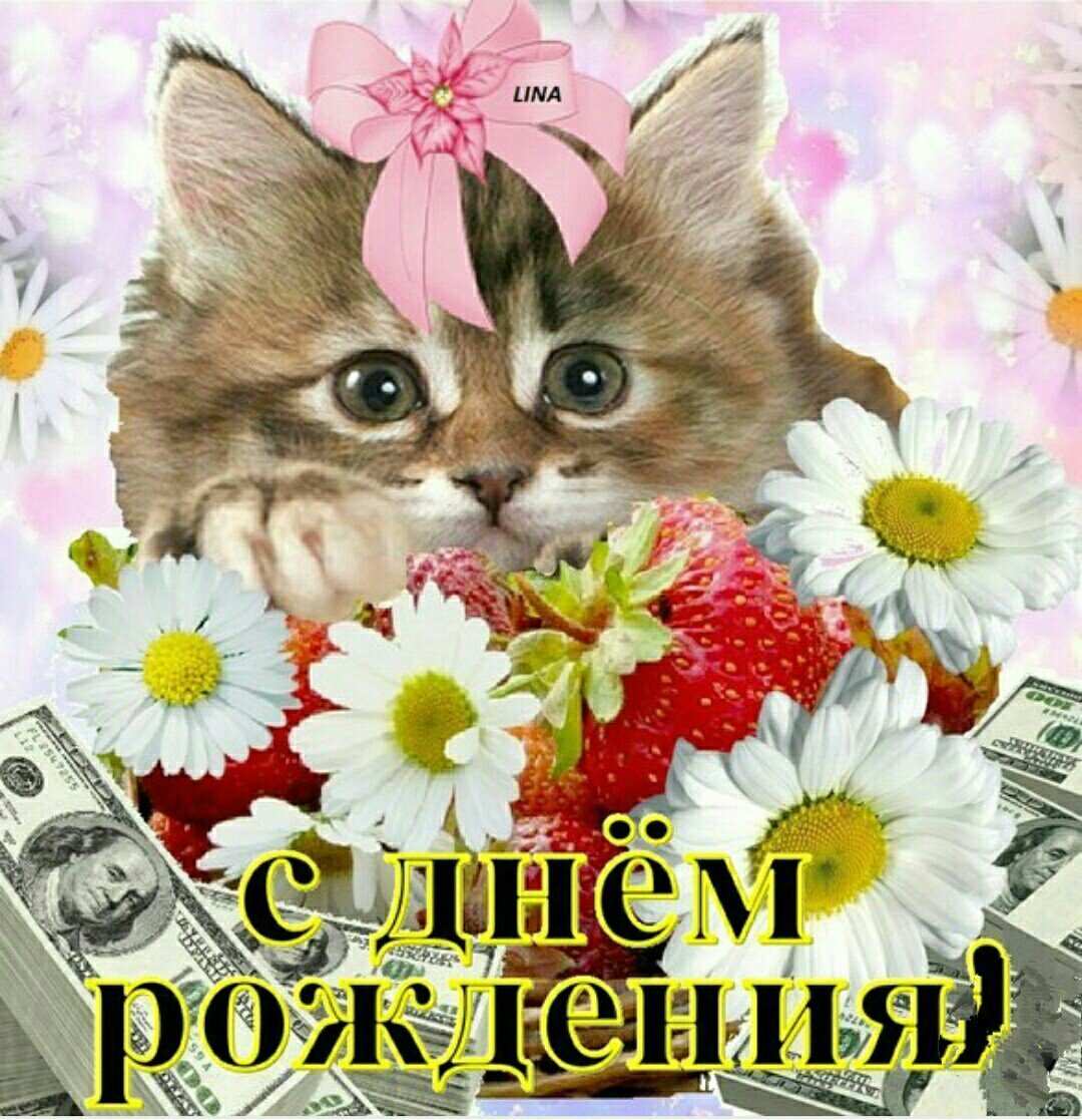 Поздравления с днем рождения с котятами