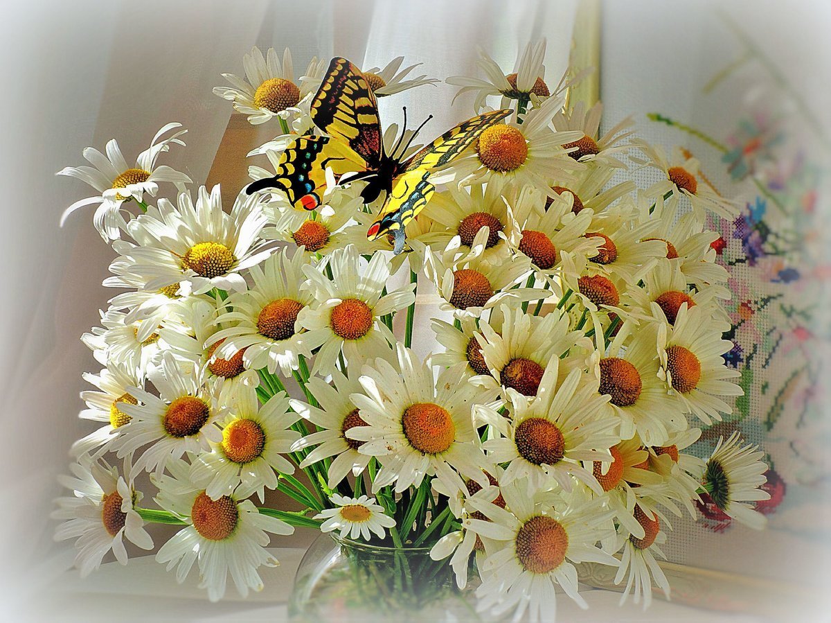 С днём рождения ромашки