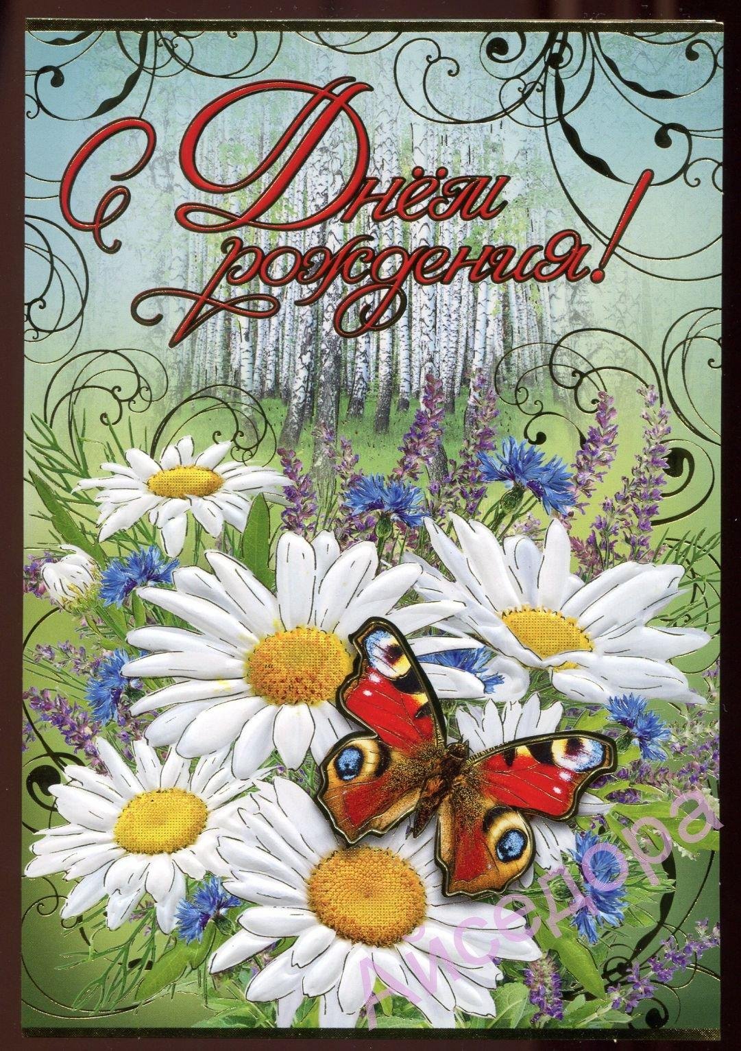 Ромашки в вазе