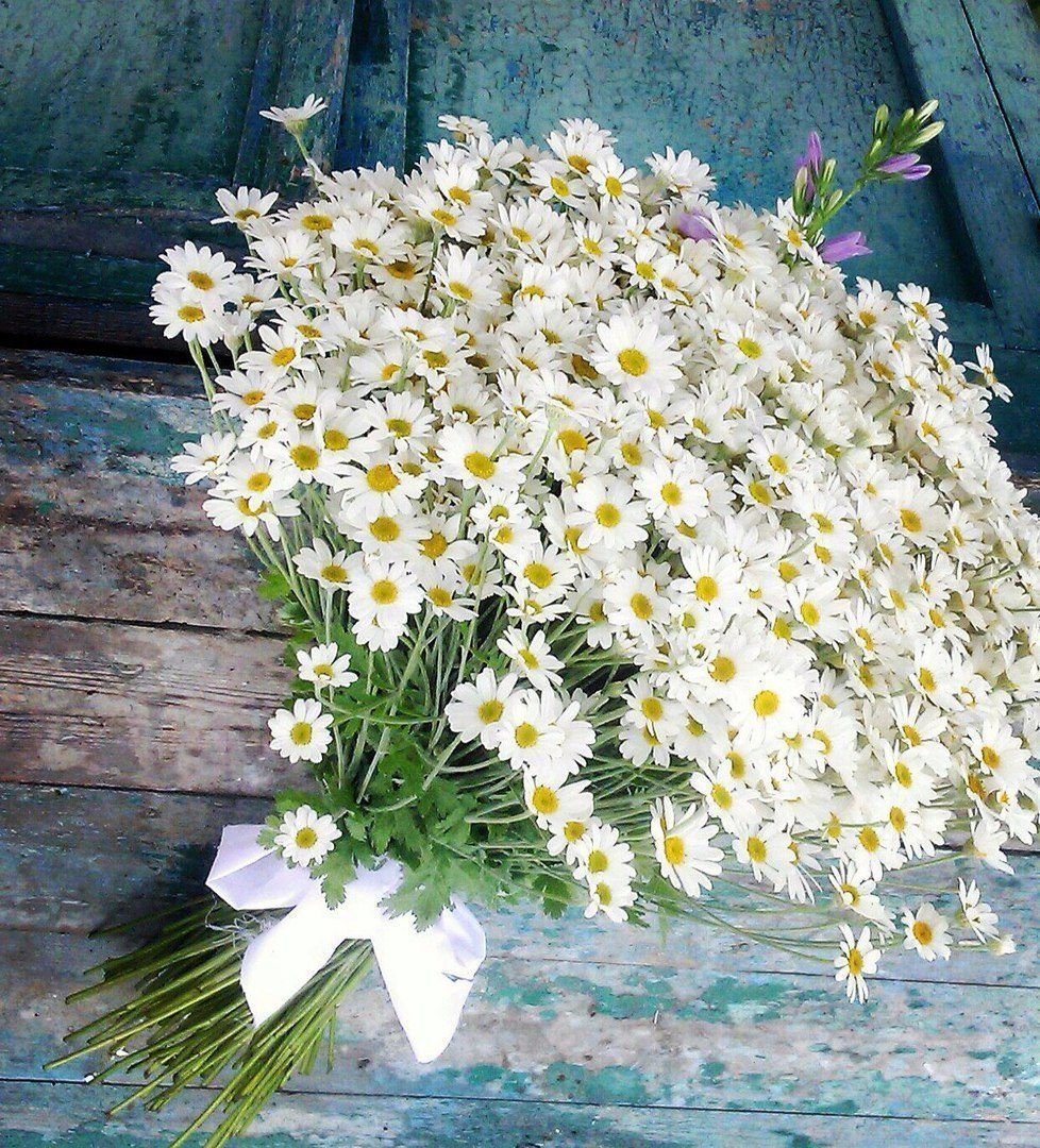 Букет ромашек в вазе