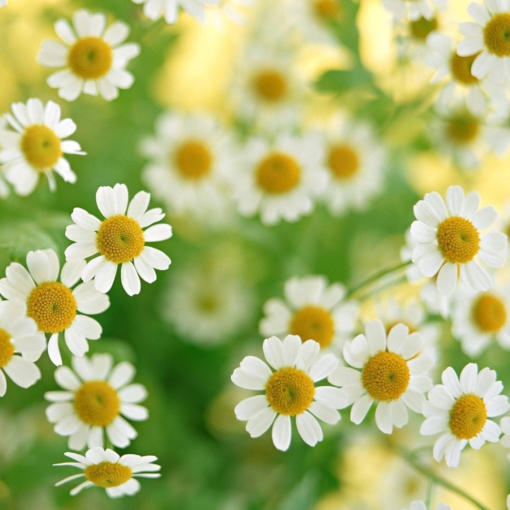 С днем молодежи