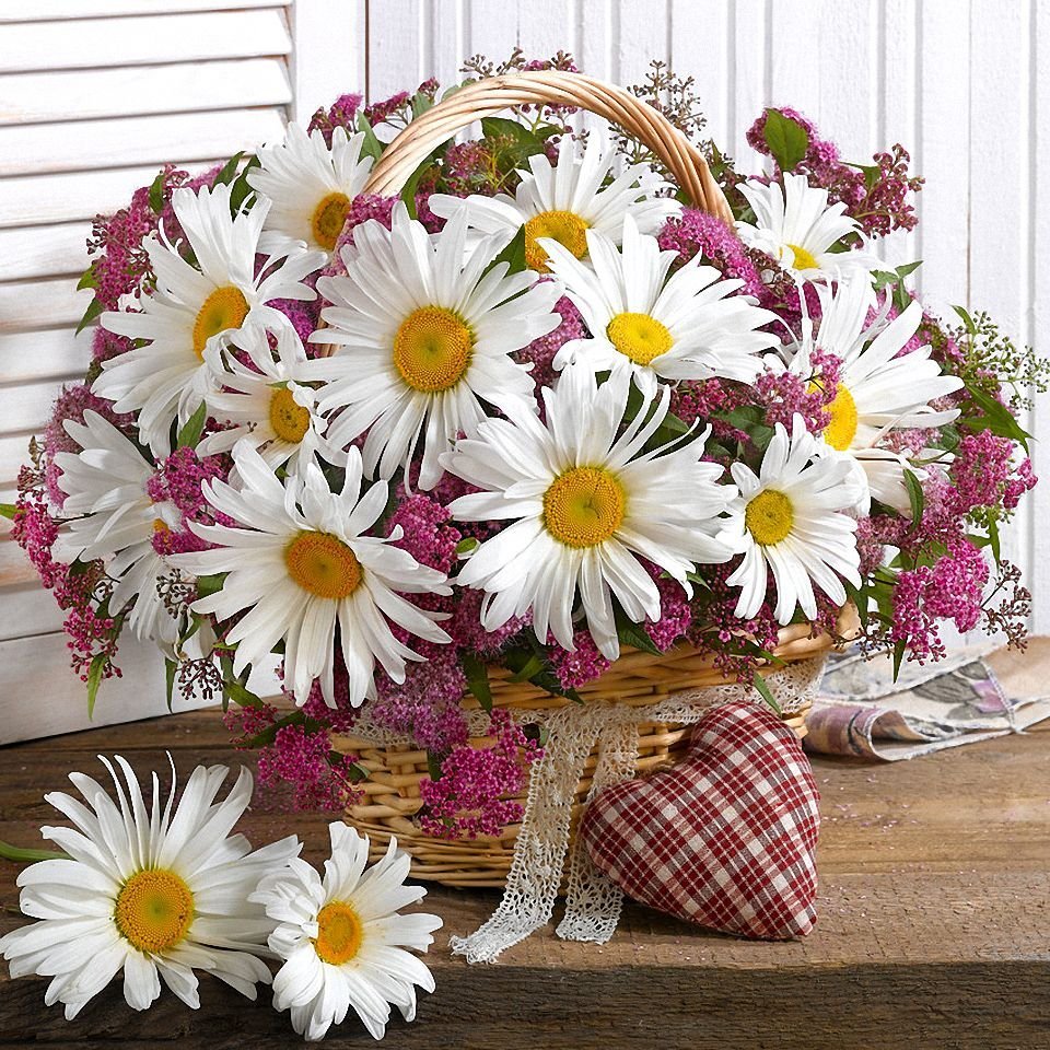 Поздравления с днём рождения ромашки