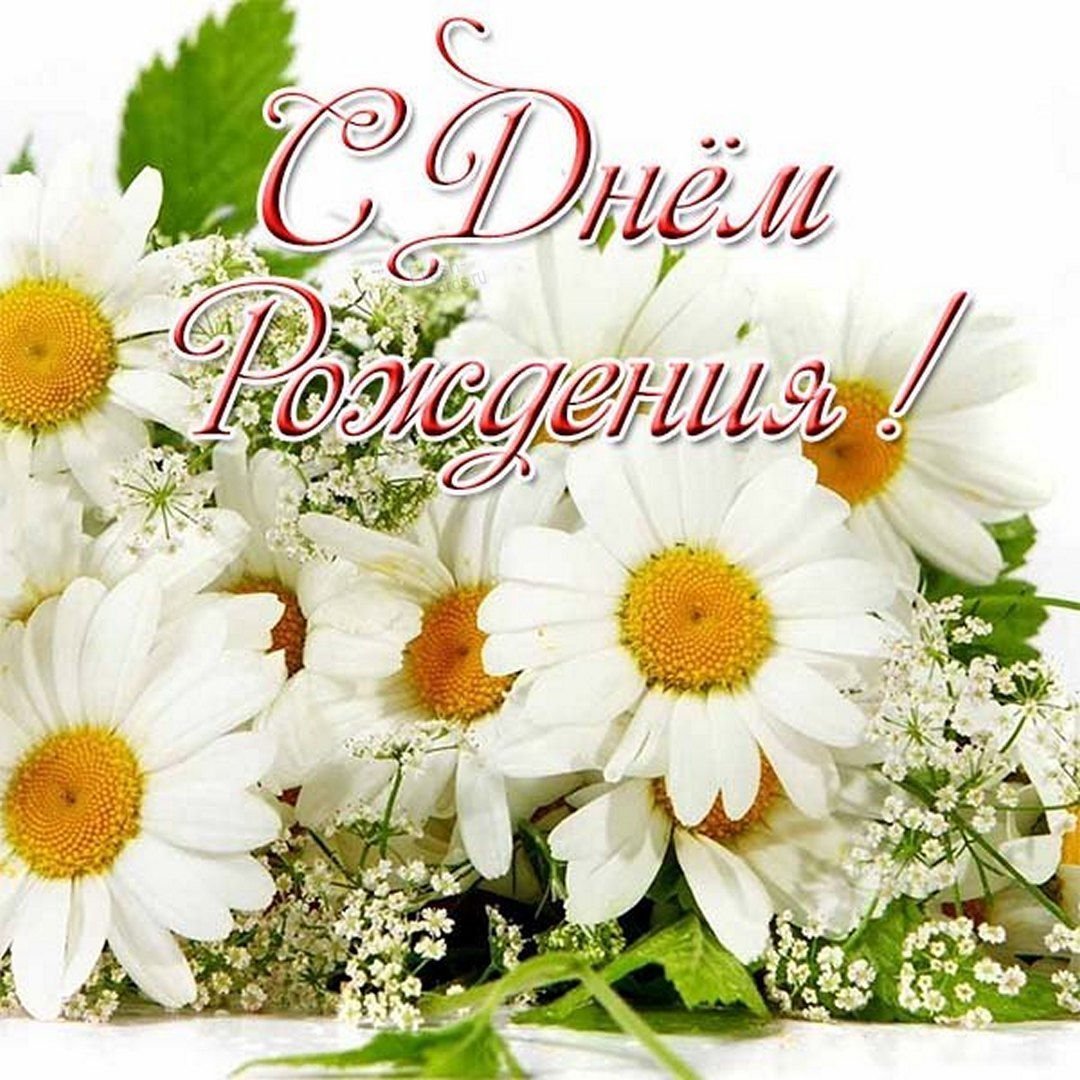 Букеты ромашек с пожеланиями