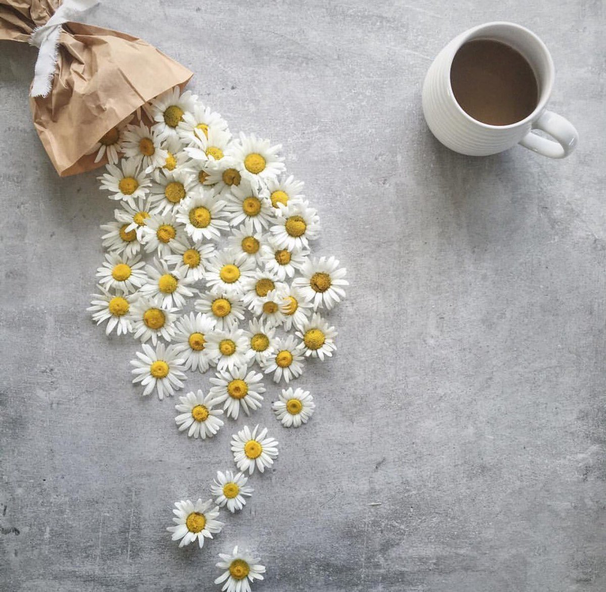 Конверт с ромашками