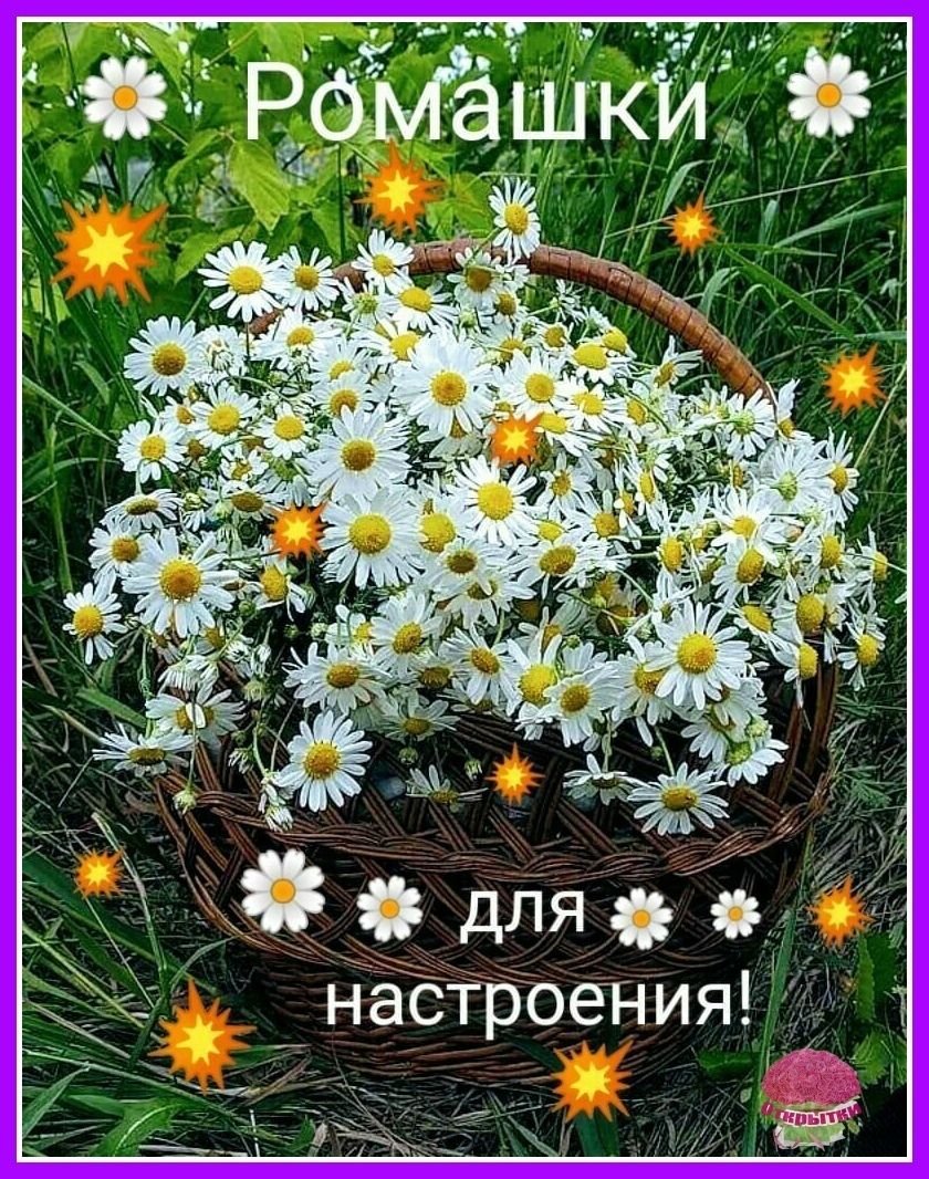 С днём рождения Маша открытки