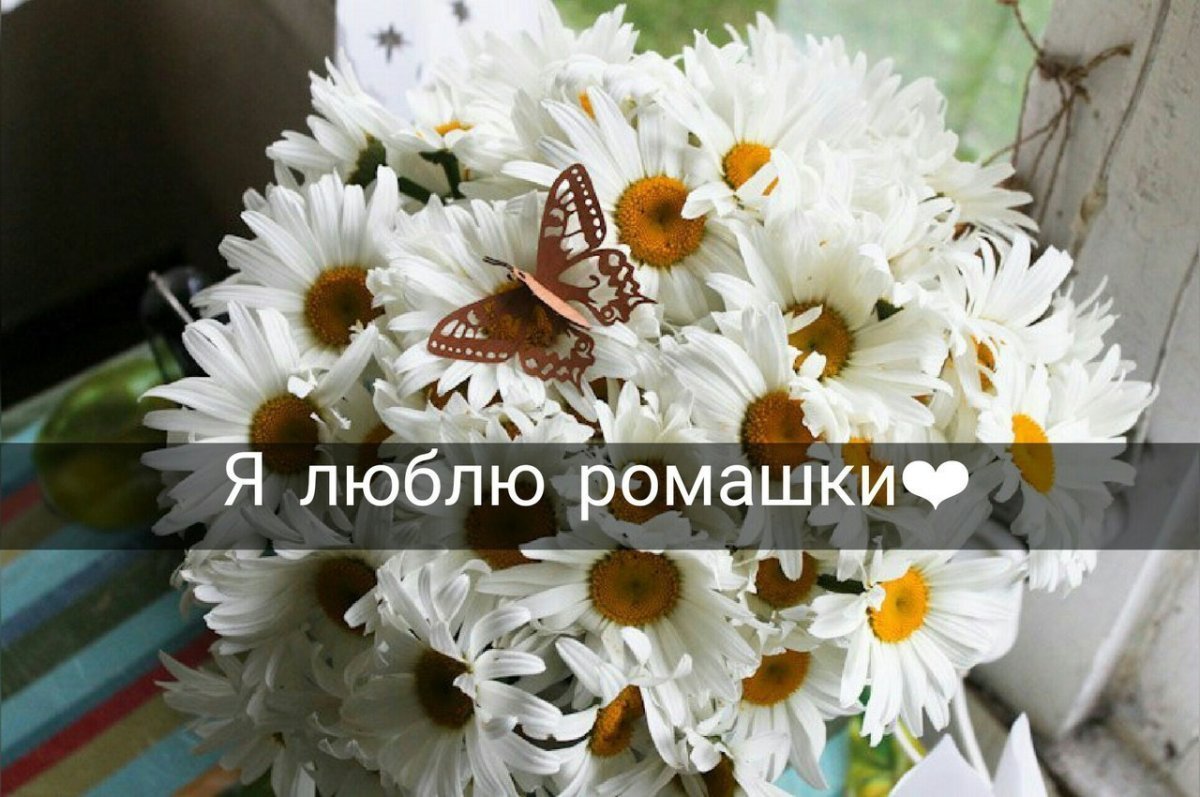 Букет ромашек с днем рождения