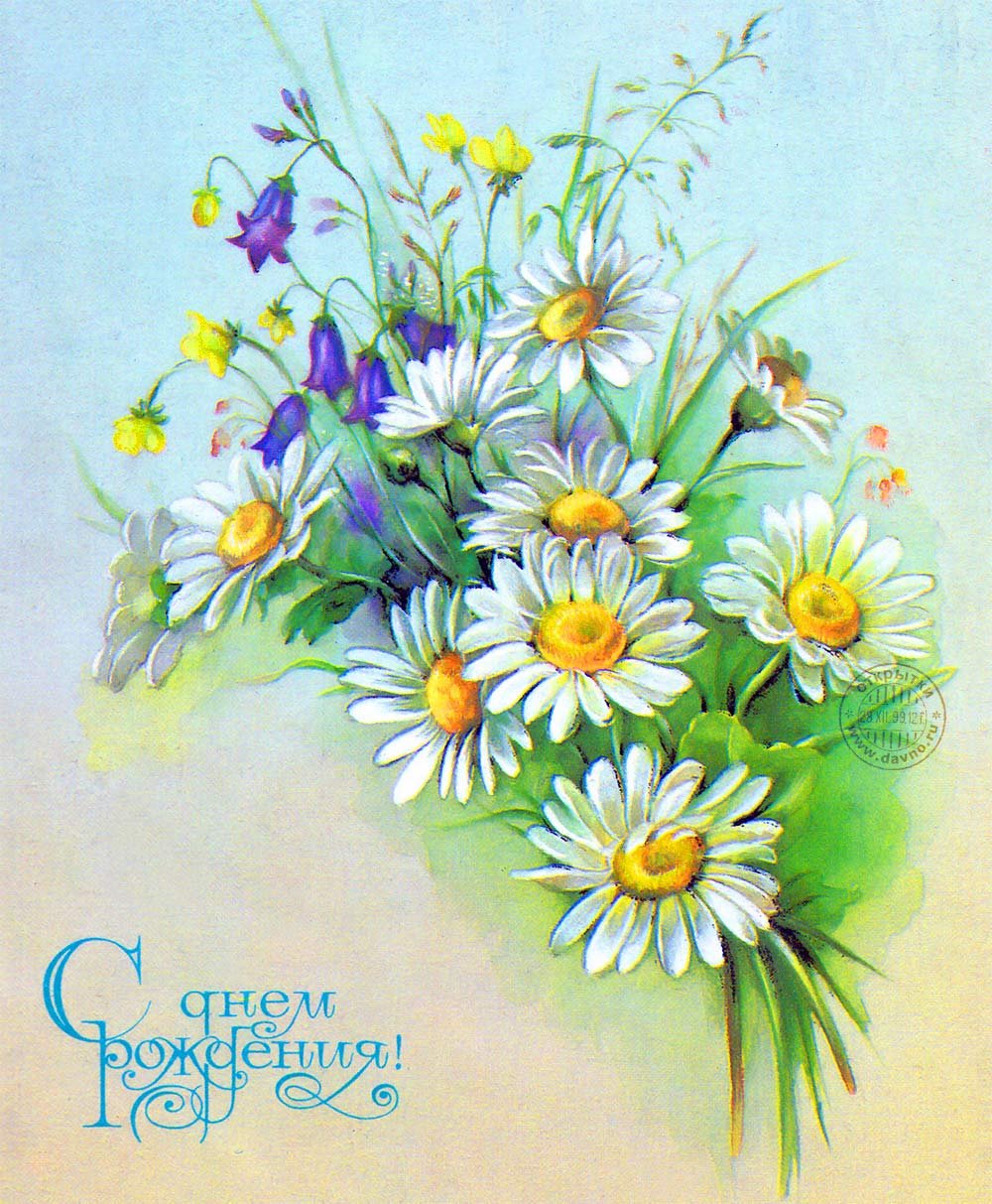 Открытки с ромашками