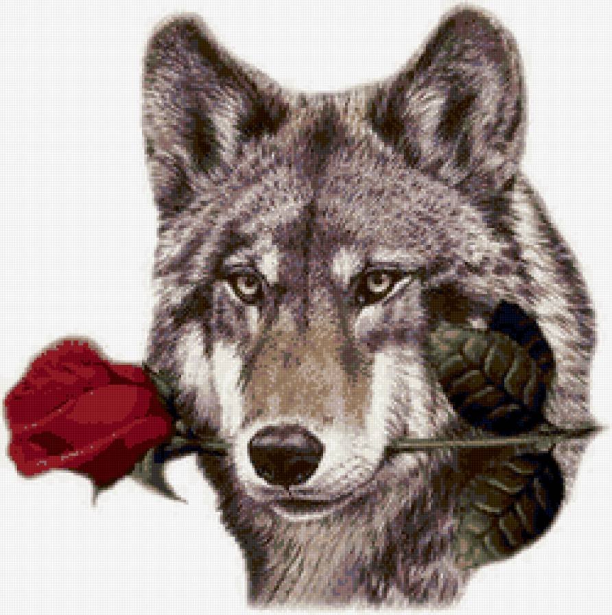 Волк с цветком в зубах