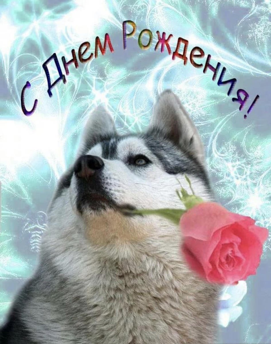 С днем рождения хаски