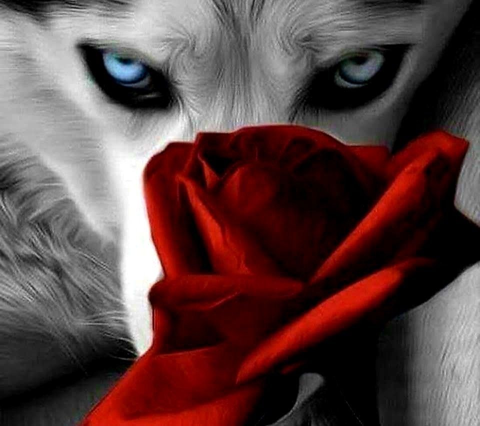 Волк с цветами