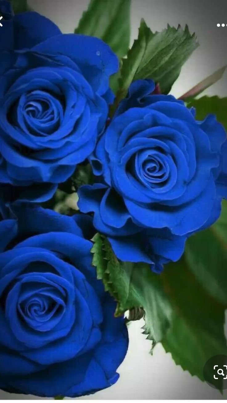 С днем рождения открытка цветы стих