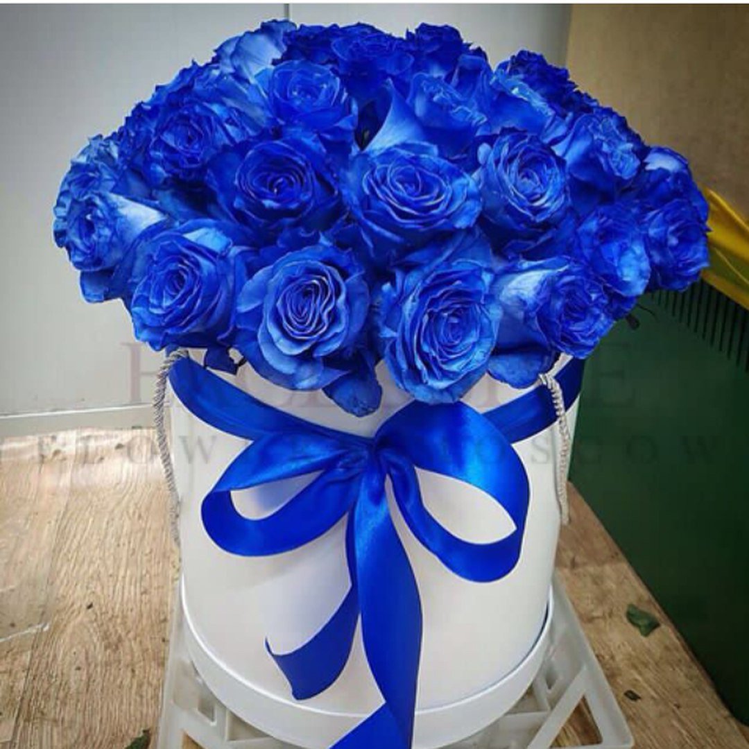 Шары с днем рождения