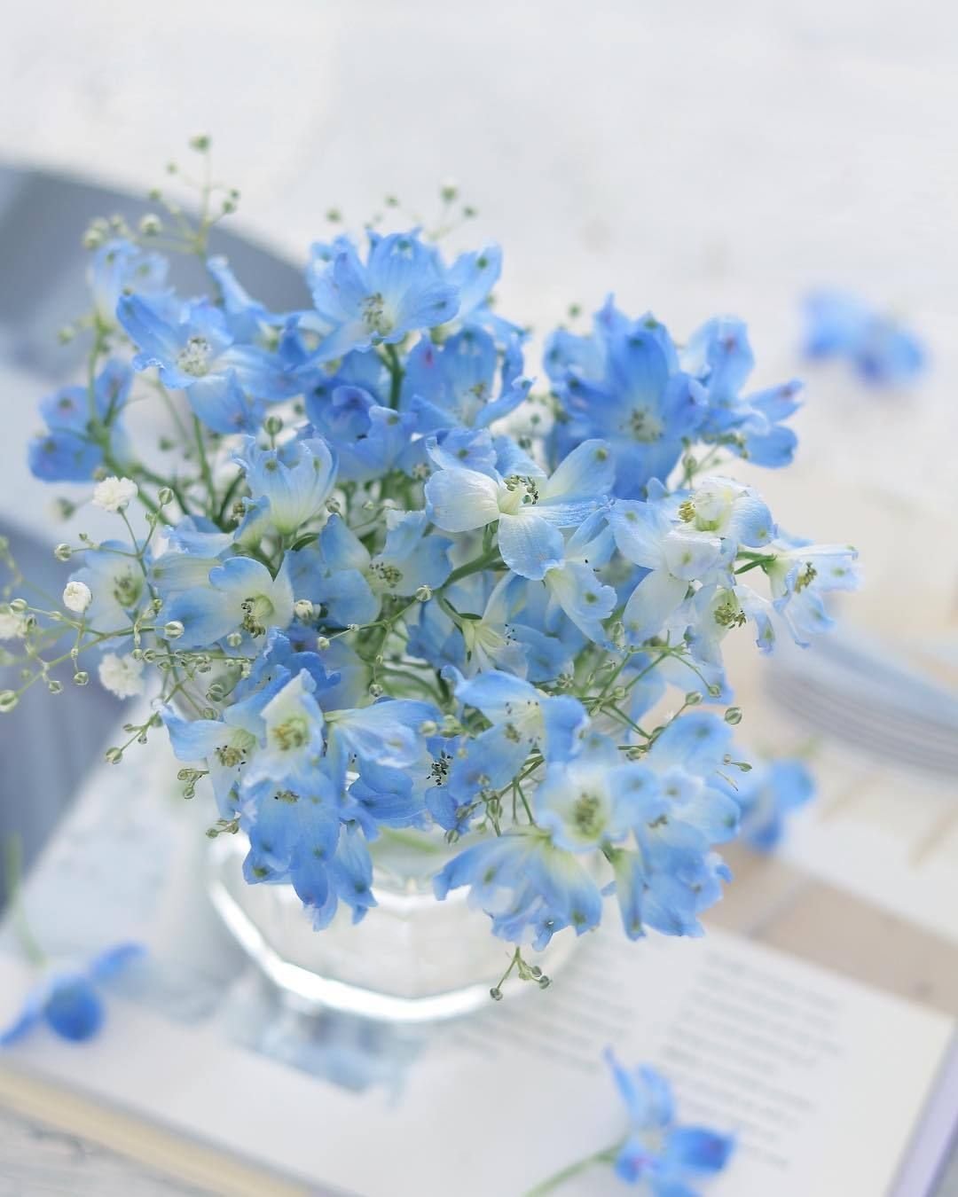 Открытка в синих тонах