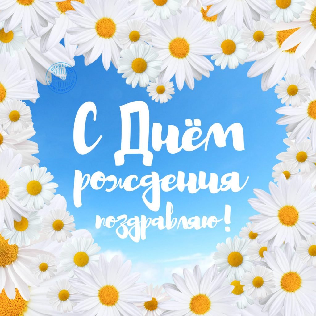 Поздравления с днём рождения ромашки
