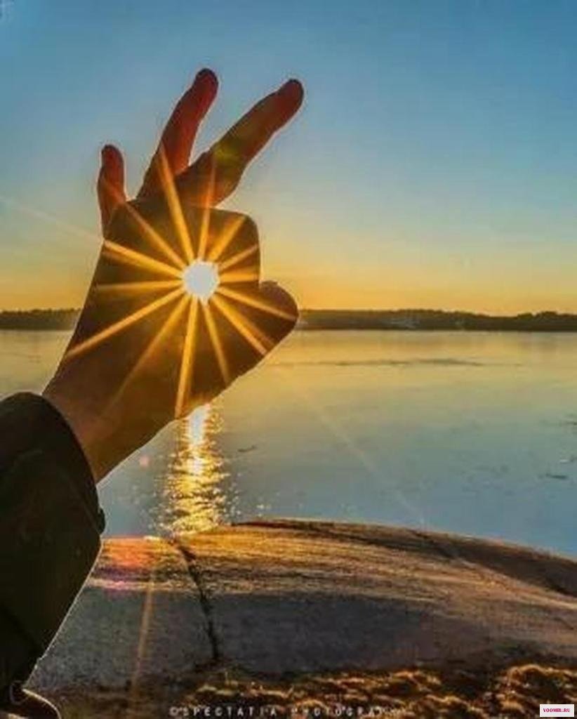 Солнце радость