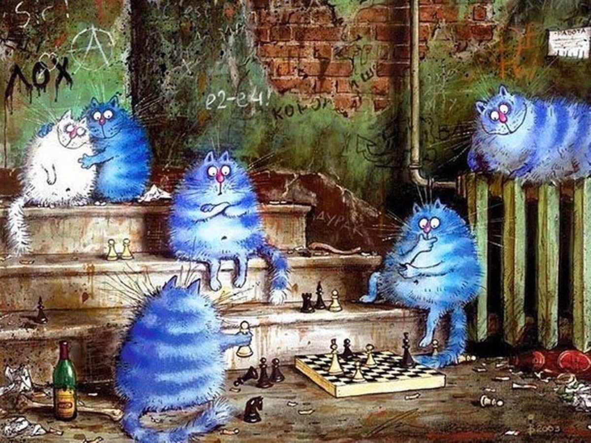 Коты Ирины Зенюк 2020