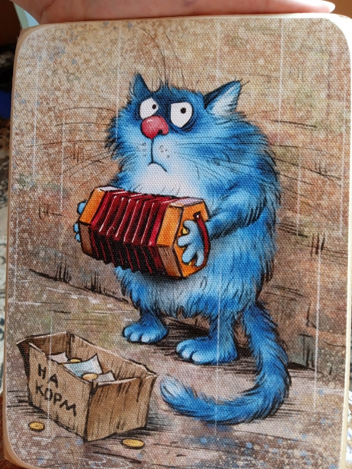 Коты Ирины Зенюк