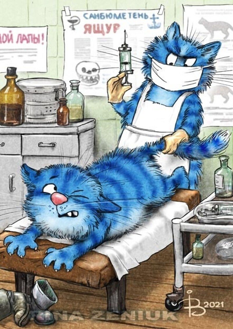Голубые коты Ирины Зенюк 2022