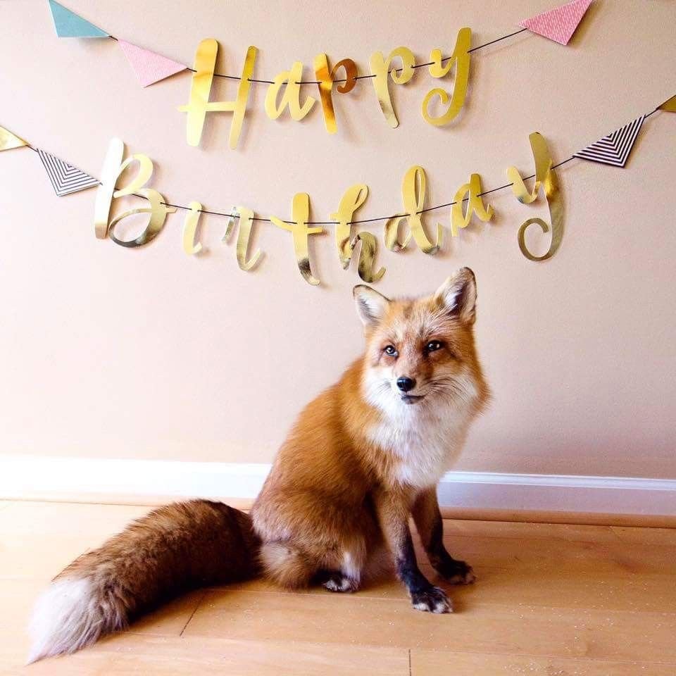 С днём рождения Акварельная открытка