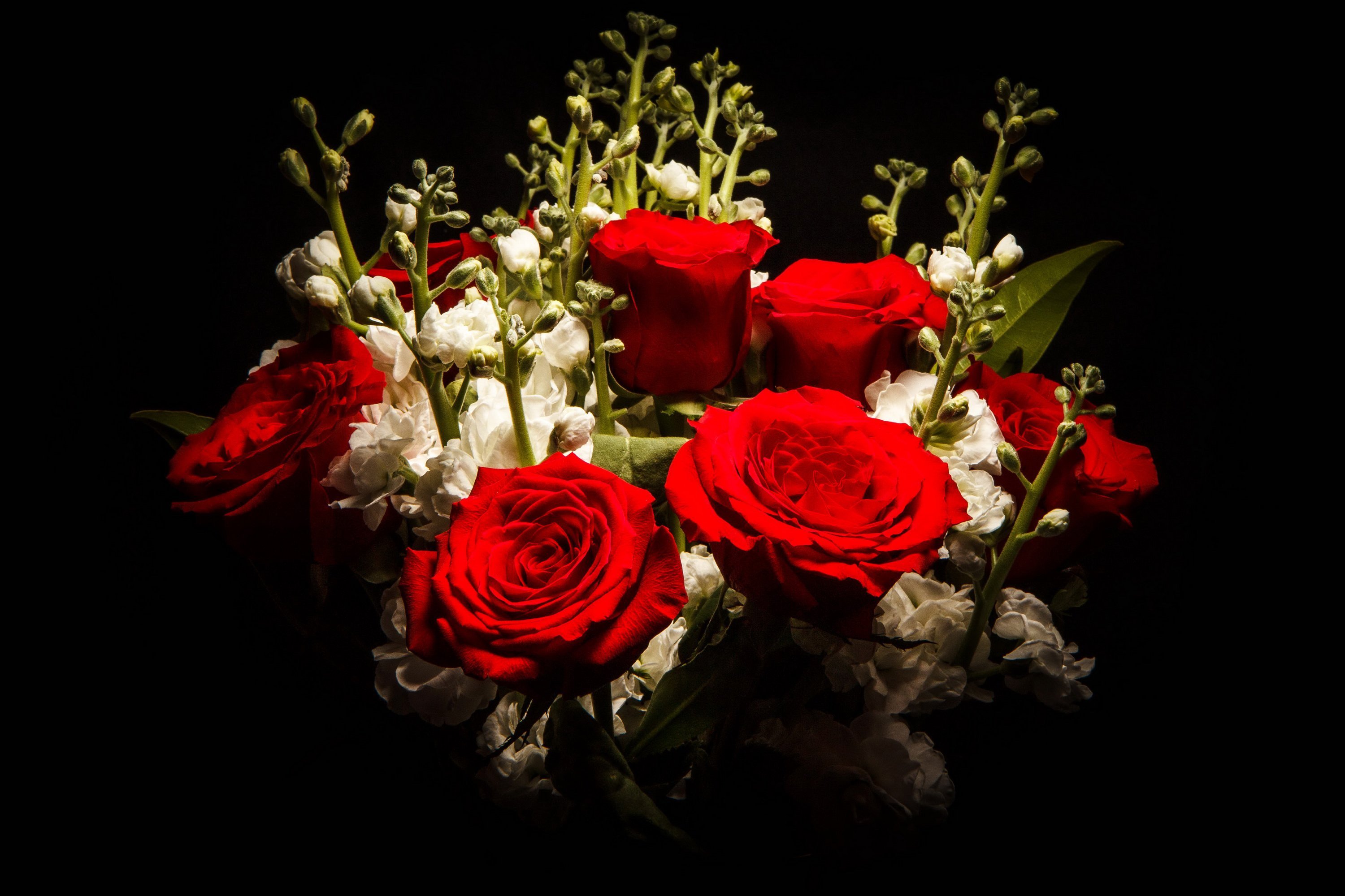 Футаж букет цветов. Красивые цветы на черном фоне. Красивые красные розы. Шикарный букет цветов. Красивый букет цветов на темном фоне.