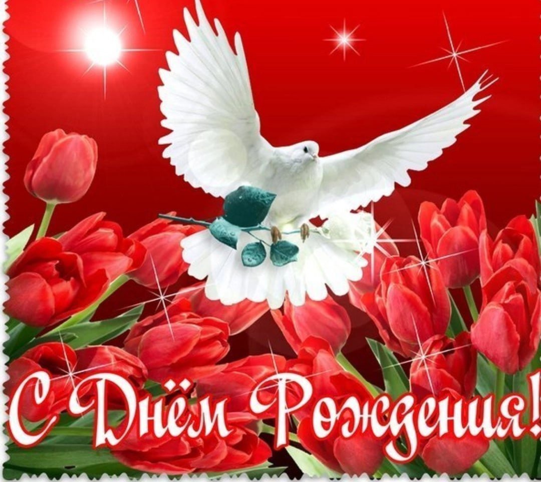 Диплом свекрови от невестки