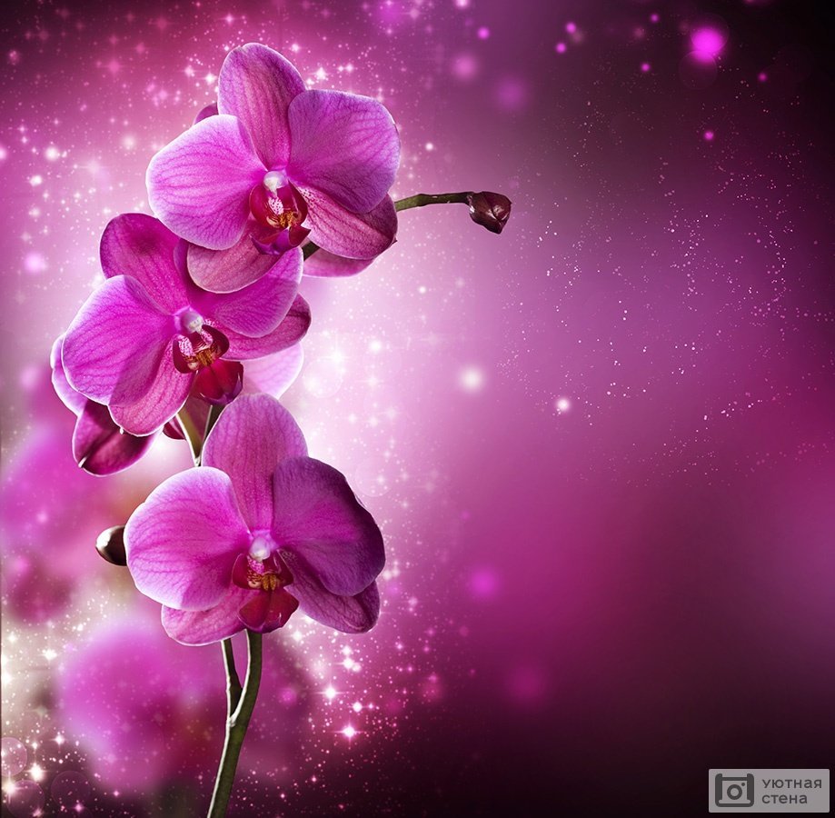 Поздравления с днём рождения Ульяна