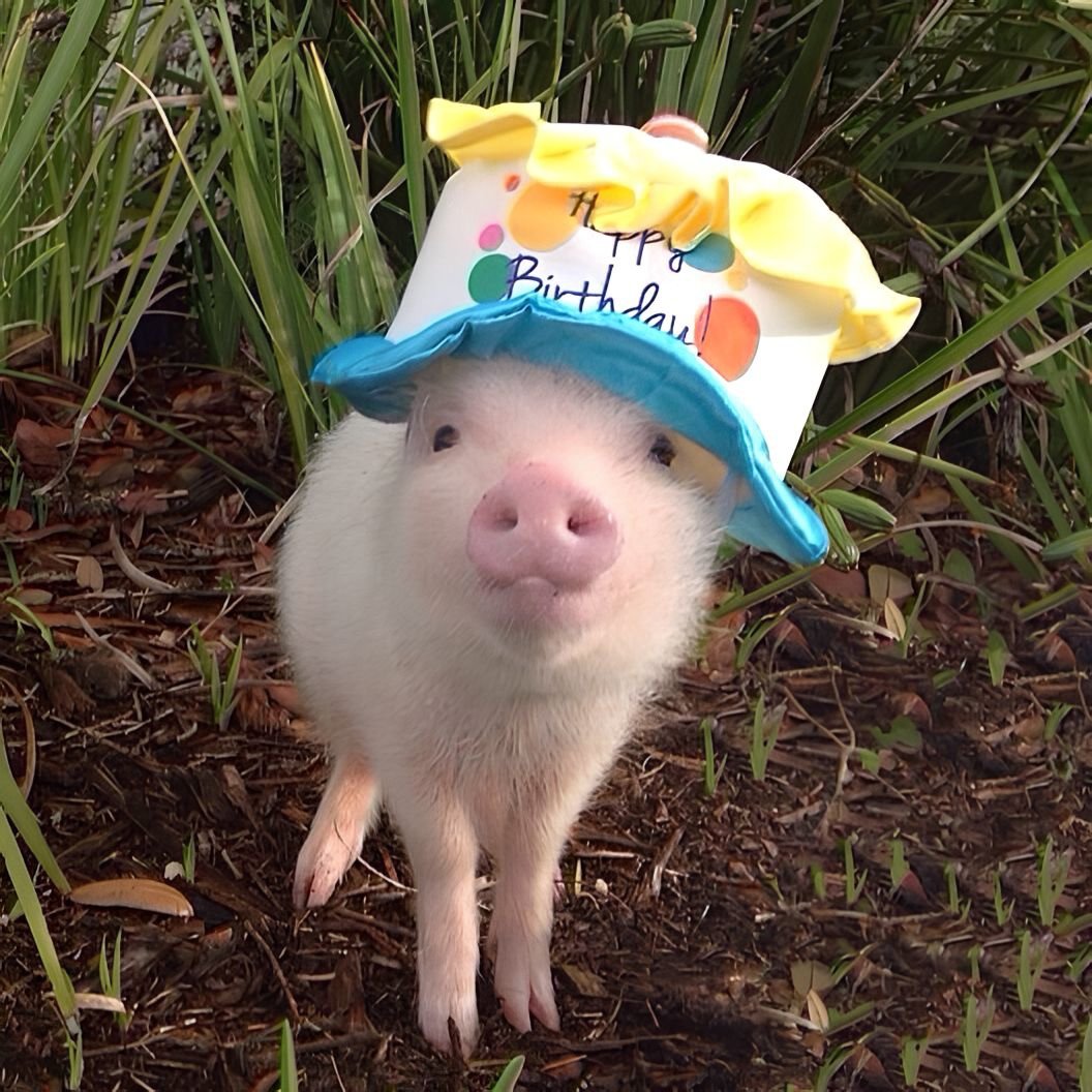 Тортик с поросятами