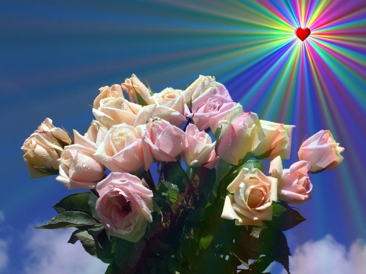 Поздравление с земным днем рождения