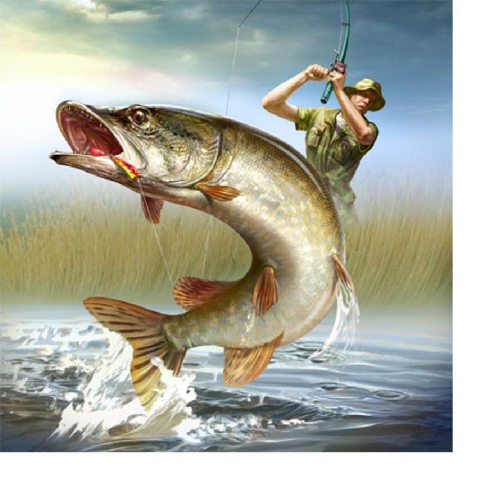 Рыбак мультяшный