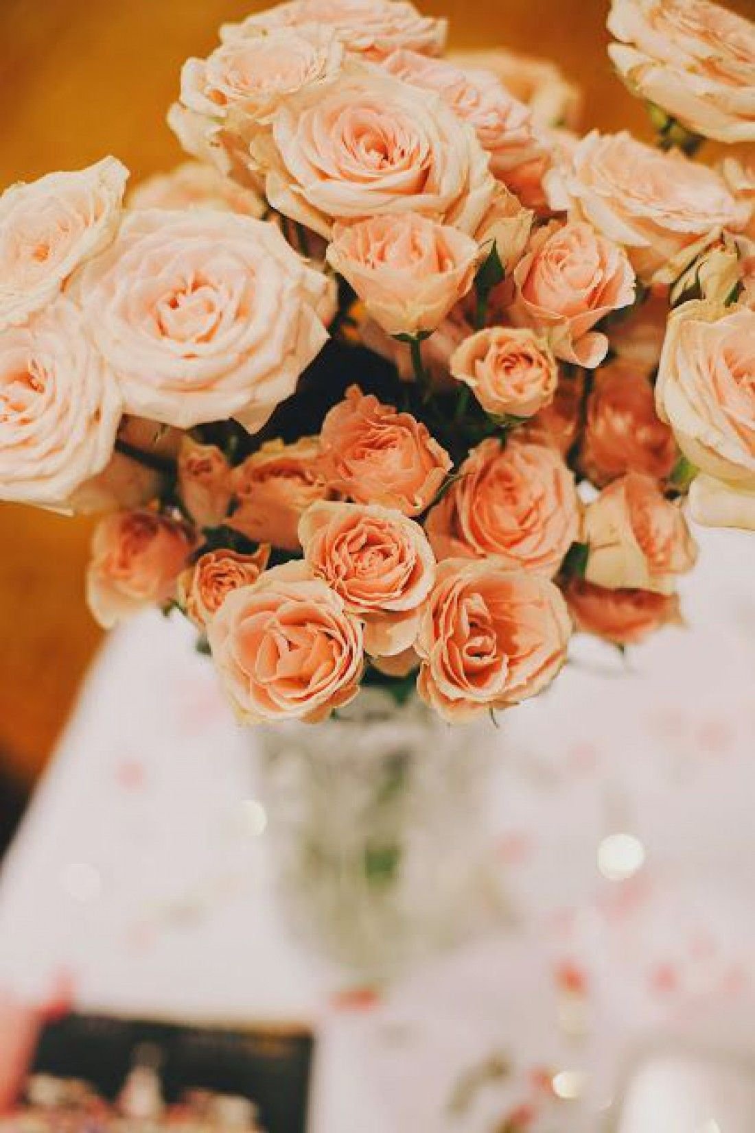 Розовые розы Эстетика